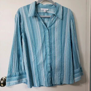 JM Collection Blue Button Down